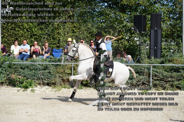 s_K3F04175.JPG